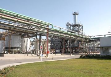 El volumen exportado creci� 40% durante 2014